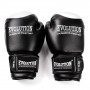 Boxerské rukavice Evolution Professional RB21 10 oz Black