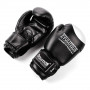 Boxerské rukavice Evolution Professional RB21 12 oz Black