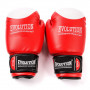 Boxerské rukavice Evolution Professional RB21 12 oz Red