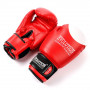Boxerské rukavice Evolution Professional RB21 10 oz Red