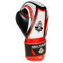 Boxerské rukavice DBX BUSHIDO ARB407v2 6 oz.