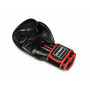 Boxerské rukavice DBX BUSHIDO BB2