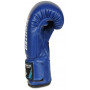 Boxerské rukavice DBX BUSHIDO ARB-407v4 6 oz.