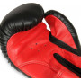 Boxerské rukavice DBX BUSHIDO ARB-407v3