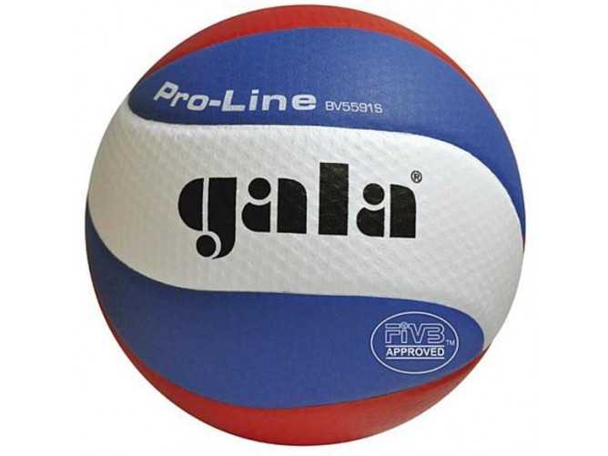 Míč volejbal PRO-LINE GALA profi 5591S