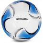 Spokey GOAL Fotbalový míč vel. 5, bílo-modrý