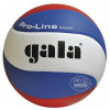 Volejbalové lopty Molten, Gala, Mikasa alebo Wilson